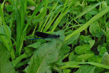 Similar image 21530384