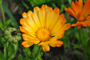 Similar image 21530387