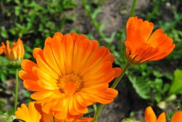 Similar image 21530388