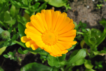 Similar image 21530389