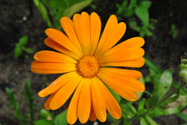 Similar image 21530390