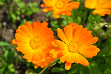 Similar image 21530391