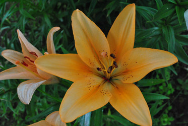 Similar image 21530393