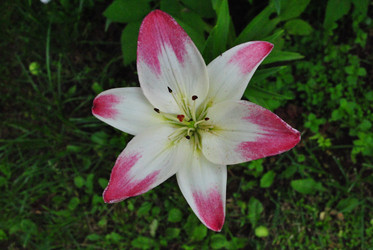 Similar image 21530394