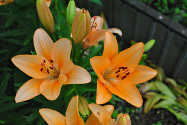 Similar image 21530395