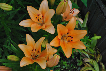 Similar image 21530396