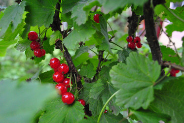 Similar image 21530397