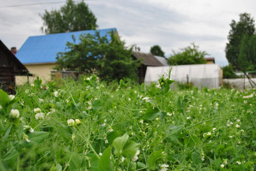 Similar image 21530398