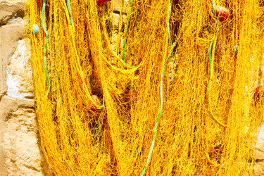 Similar image 21532640