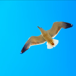 Similar image 21532707