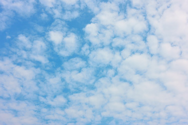 Similar image 21532720