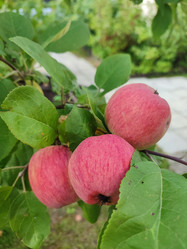 Similar image 21531750