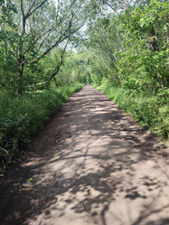 Similar image 21533023