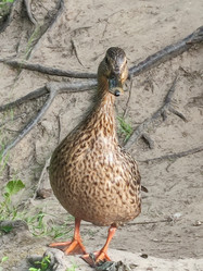 Similar image 21531005