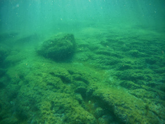 Similar image 21530762