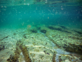 Similar image 21530763