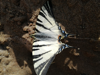 Similar image 21531388