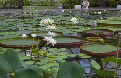 Similar image 21530768