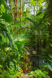 Similar image 21530769