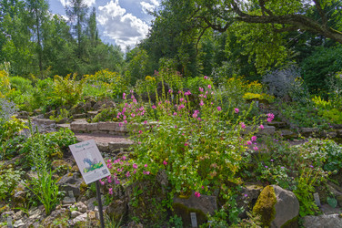 Similar image 21530771