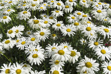 Similar image 21530773