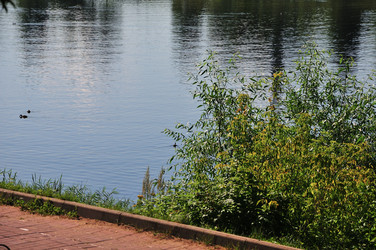 Similar image 21530787