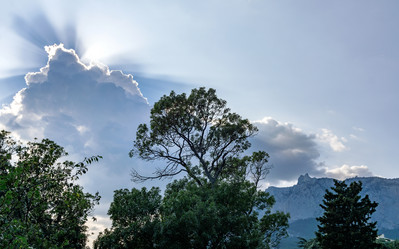 Similar image 21537764