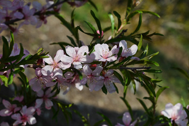 Similar image 21534260