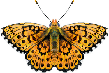 Similar image 21531006