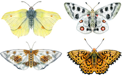 Similar image 21531007