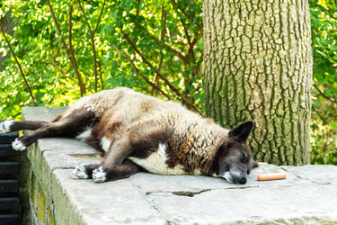 Similar image 21531390