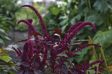 Similar image 21531091