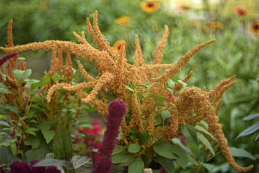 Similar image 21531093