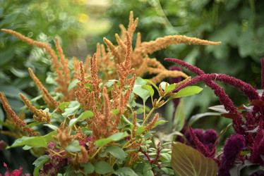 Similar image 21531094