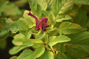 Similar image 21531095