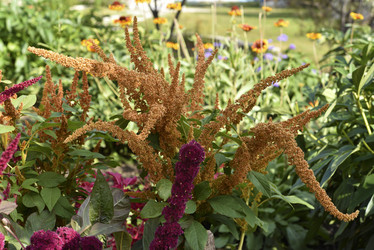 Similar image 21531096