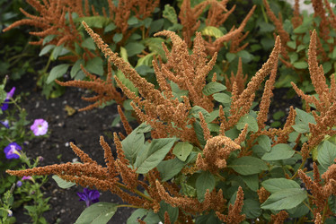 Similar image 21531102