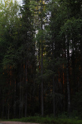 Similar image 21531025