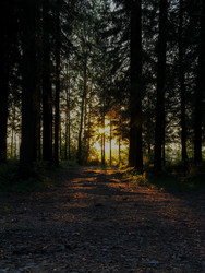 Similar image 21531026