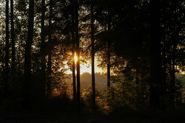 Similar image 21531027