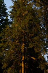 Similar image 21531028