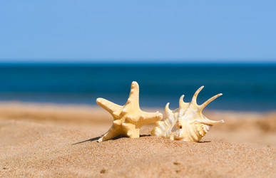 Similar image 21532984