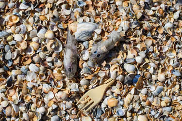 Similar image 21531103