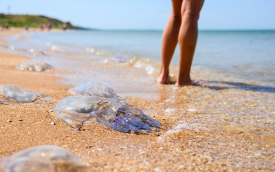 Similar image 21532986