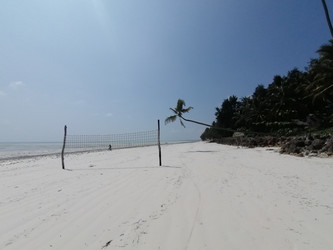 Similar image 21535305