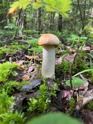 Similar image 21537765