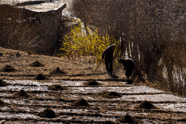 Similar image 21531356