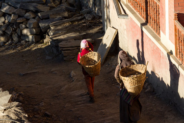 Similar image 21531363