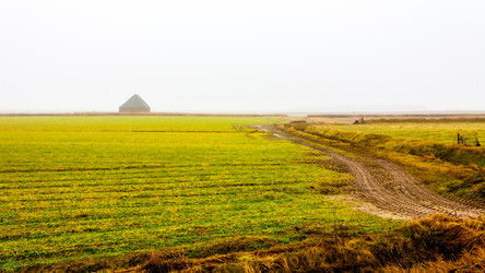 Similar image 21531366