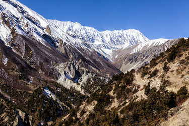 Similar image 21531367